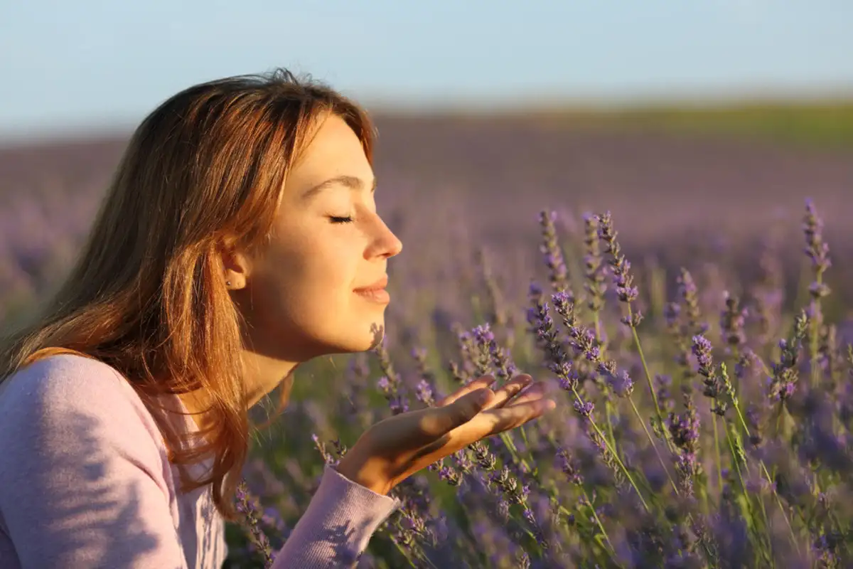 girl smelling at lavender flowers