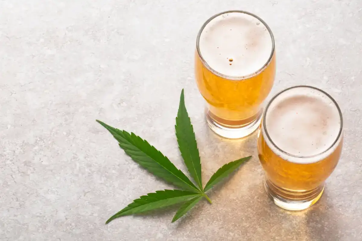 Cannabis and beer