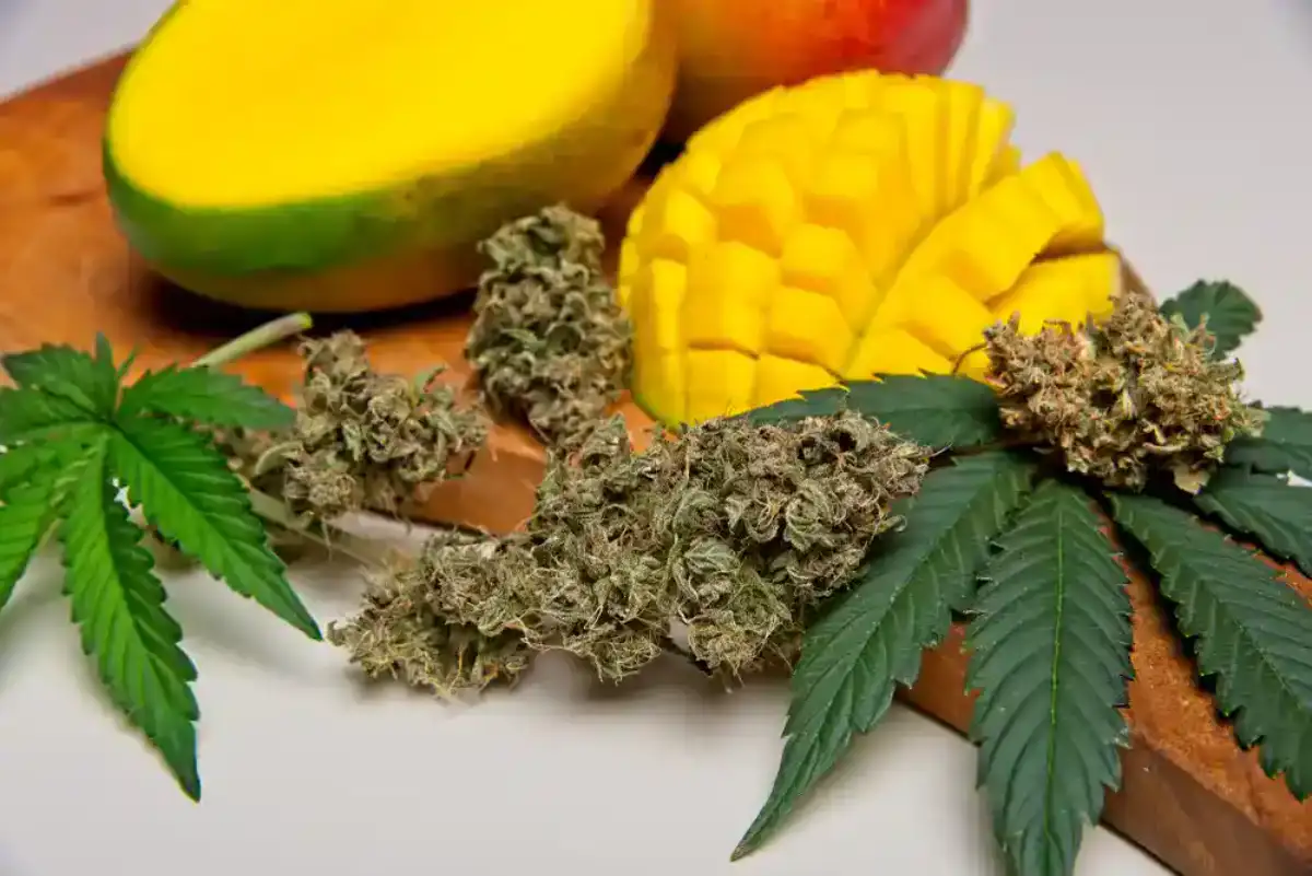 Slice of mango next to marijuana leaves
