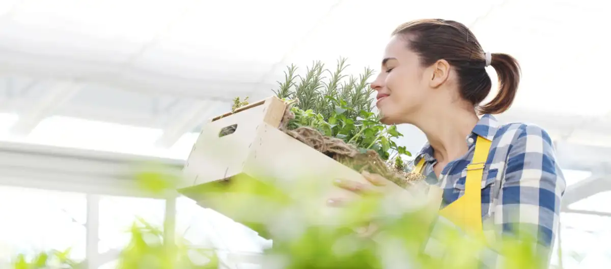 woman smelling aromatic plants